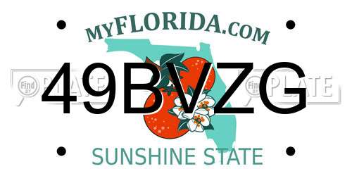 49BVZG Florida License Plate