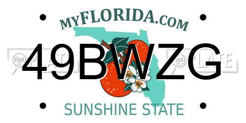 49BWZG Florida License Plate
