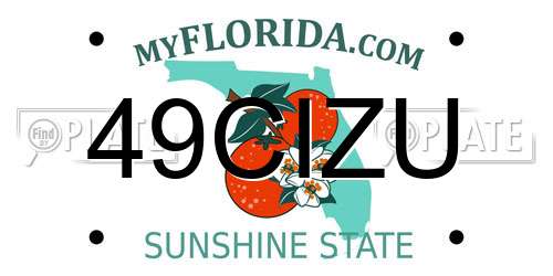 49CIZU Florida License Plate