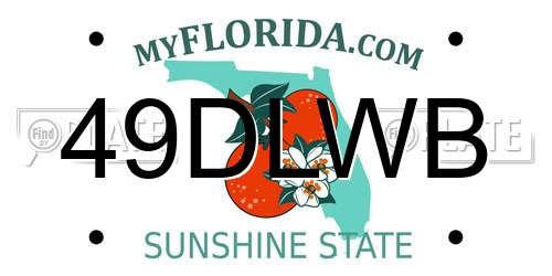 49DLWB Florida License Plate