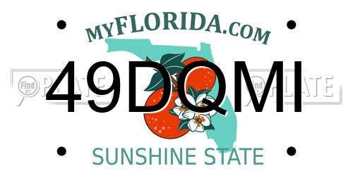 49DQMI Florida License Plate