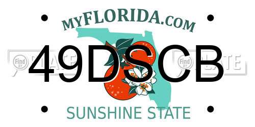 49DSCB Florida License Plate