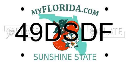 49DSDF Florida License Plate