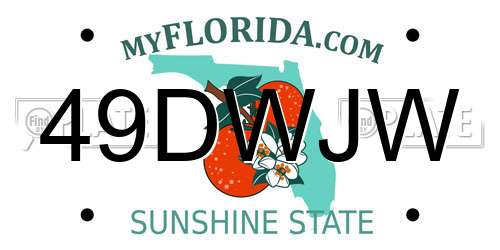 49DWJW Florida License Plate