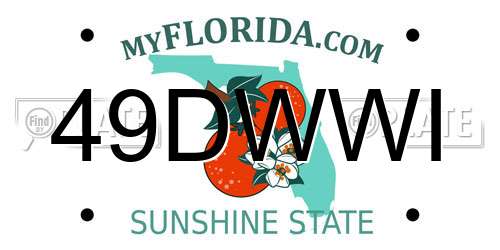 49DWWI Florida License Plate