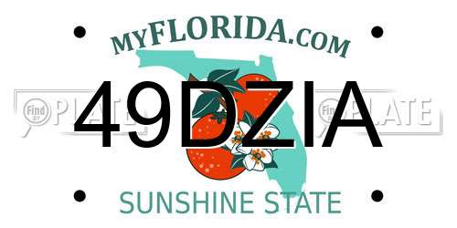 49DZIA Florida License Plate