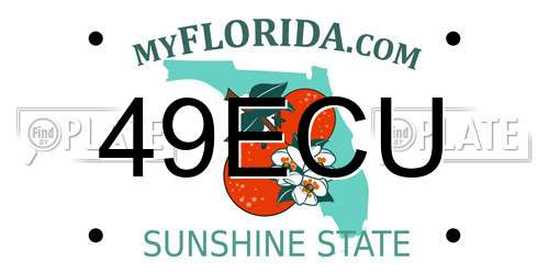 49ECU Florida License Plate