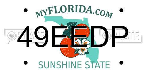 49EEDP Florida License Plate