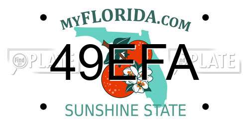 49EFA Florida License Plate