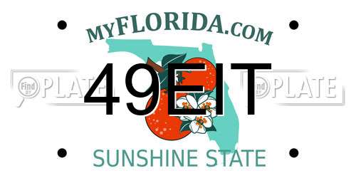 49EIT Florida License Plate