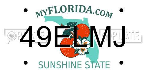 49ELMJ Florida License Plate