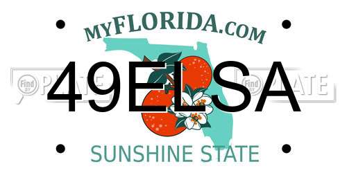 49ELSA Florida License Plate