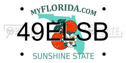 49ELSB Florida License Plate