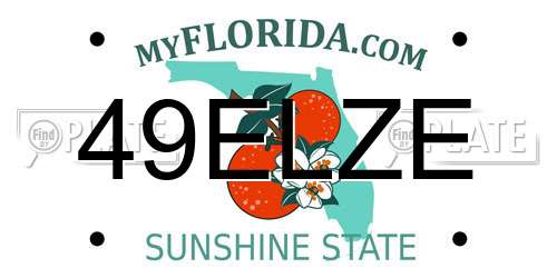 49ELZE Florida License Plate