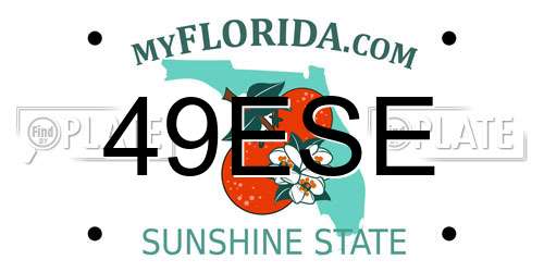 49ESE Florida License Plate
