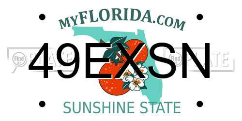 49EXSN Florida License Plate