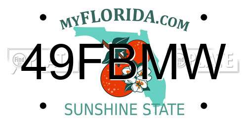49FBMW Florida License Plate