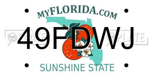 49FDWJ Florida License Plate