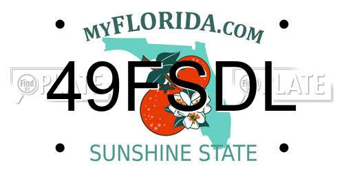 49FSDL Florida License Plate