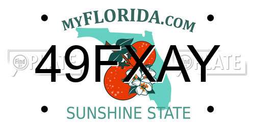 49FXAY Florida License Plate
