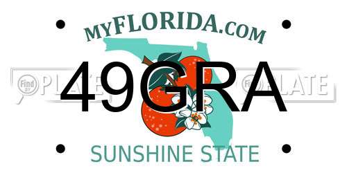 49GRA Florida License Plate