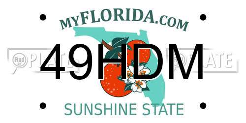49HDM Florida License Plate