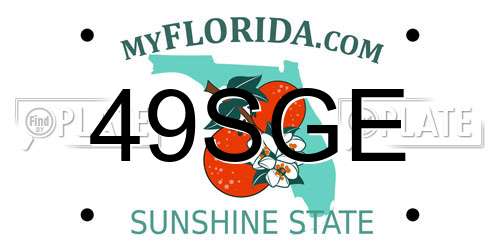 49SGE Florida License Plate