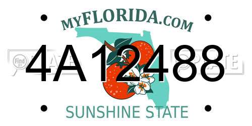 4A12488 Florida License Plate