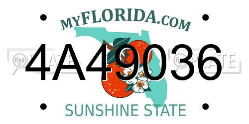 4A49036 Florida License Plate