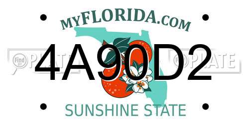 4A90D2 Florida License Plate