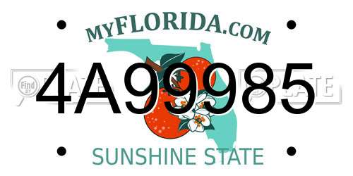 4A99985 Florida License Plate
