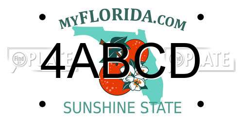 4ABCD Florida License Plate