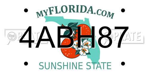 4ABH87 Florida License Plate