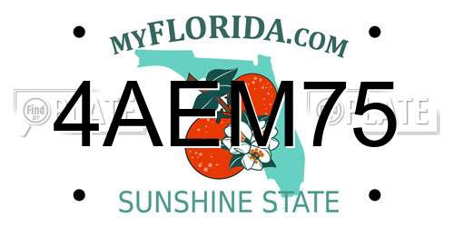 4AEM75 Florida License Plate