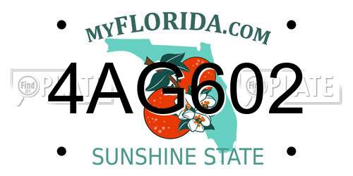 4AG602 Florida License Plate