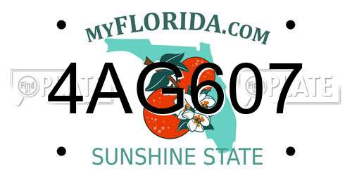 4AG607 Florida License Plate