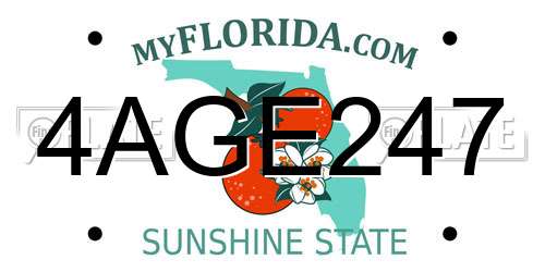 4AGE247 Florida License Plate