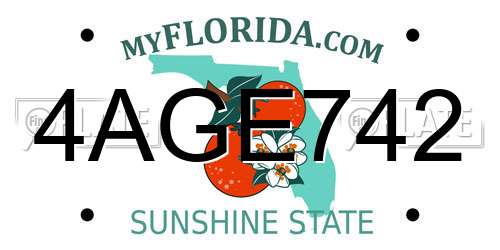 4AGE742 Florida License Plate