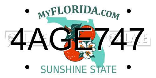 4AGE747 Florida License Plate