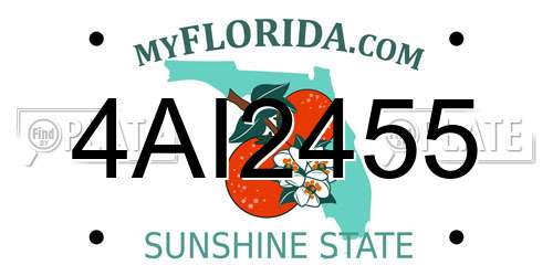 4AI2455 Florida License Plate
