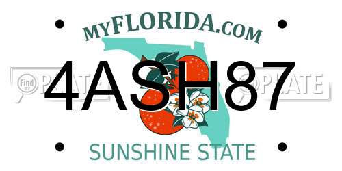 4ASH87 Florida License Plate