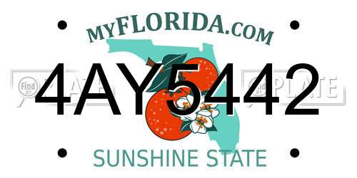 4AY5442 Florida License Plate