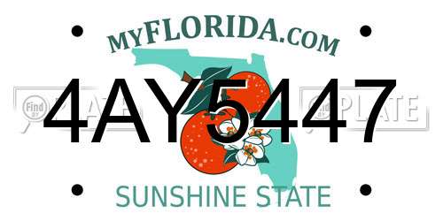 4AY5447 Florida License Plate