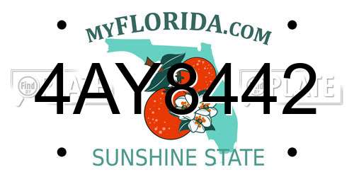 4AY8442 Florida License Plate