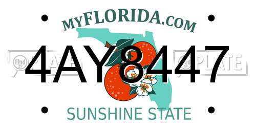 4AY8447 Florida License Plate
