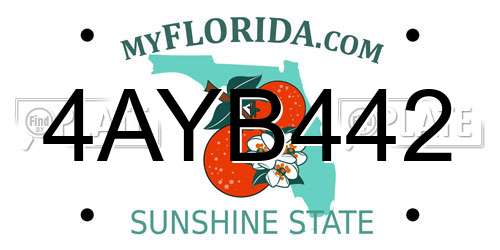 4AYB442 Florida License Plate