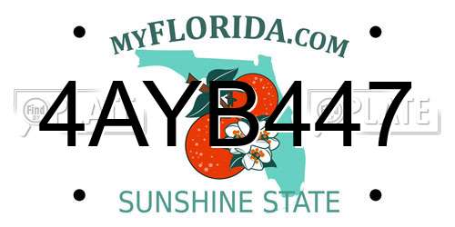 4AYB447 Florida License Plate