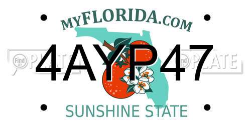 4AYP47 Florida License Plate