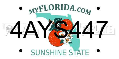 4AYS447 Florida License Plate