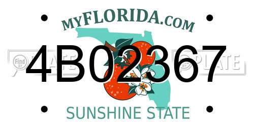 4B02367 Florida License Plate
